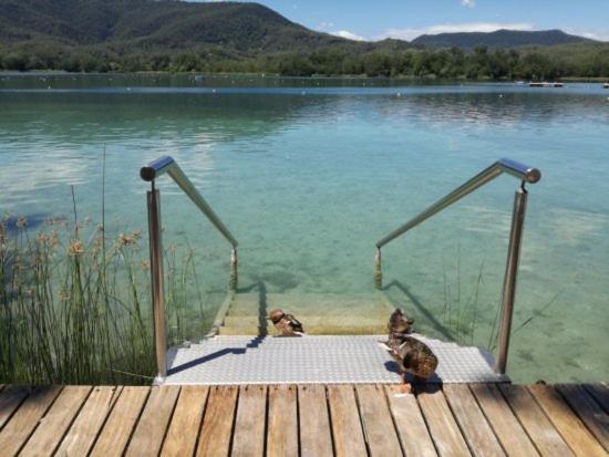 Camping Bungalow El Llac De Banyoles Porqueres Ngoại thất bức ảnh