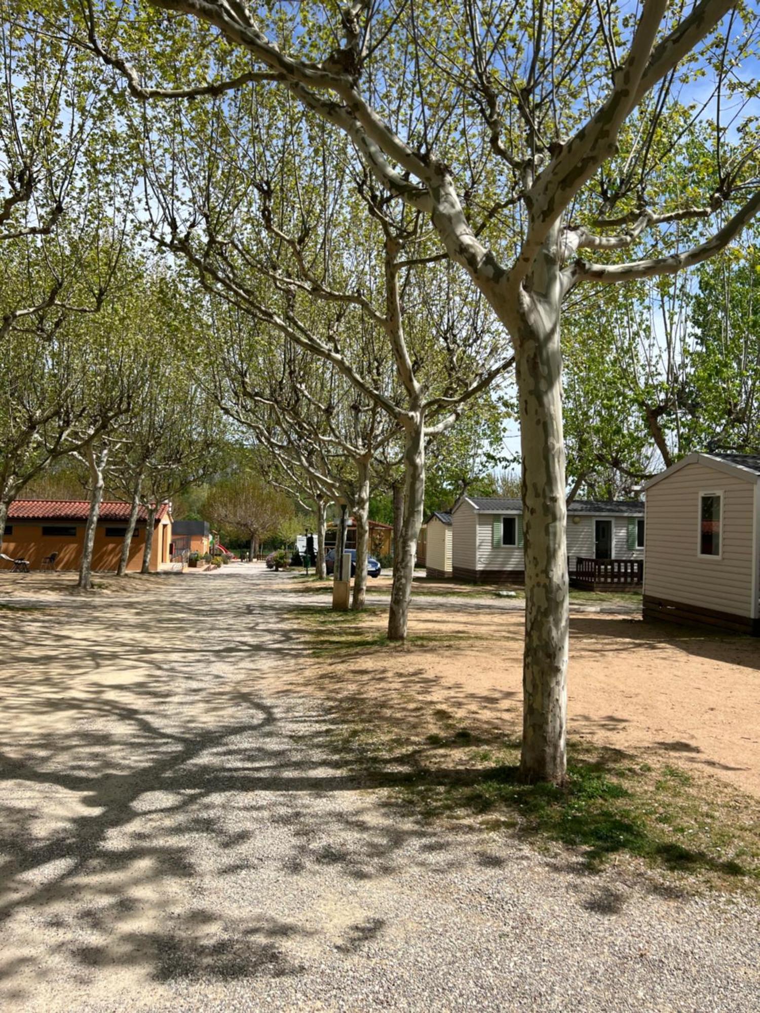 Camping Bungalow El Llac De Banyoles Porqueres Ngoại thất bức ảnh